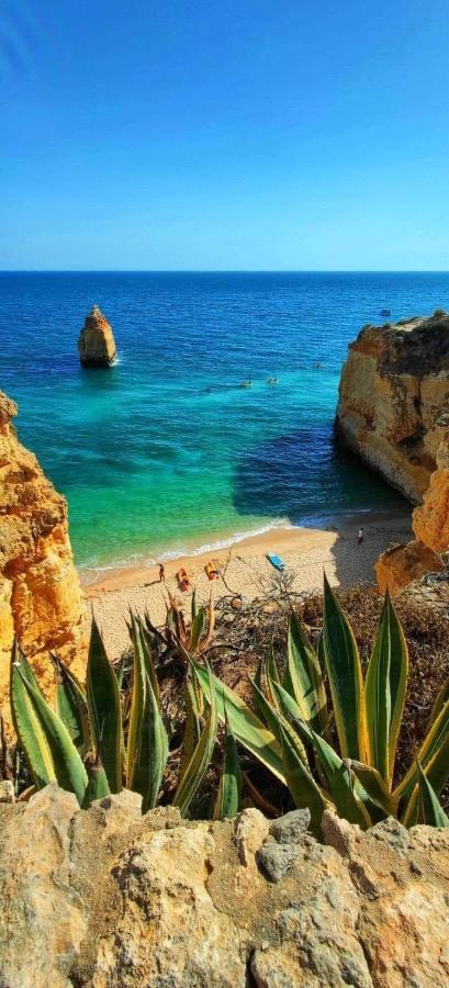 דירות אלבור Sol E Mar Bemposta מראה חיצוני תמונה